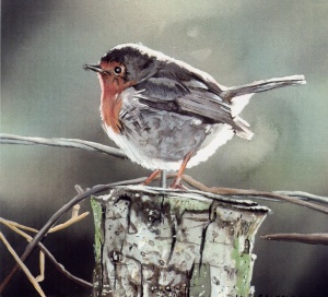 artist-billy-almond_bird-painting