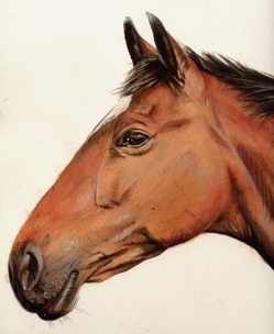 artist-billy-almond_Horse